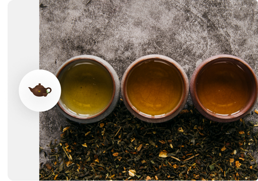 Camellia Sinensis: One Plant, Six Teas—A World of Flavor