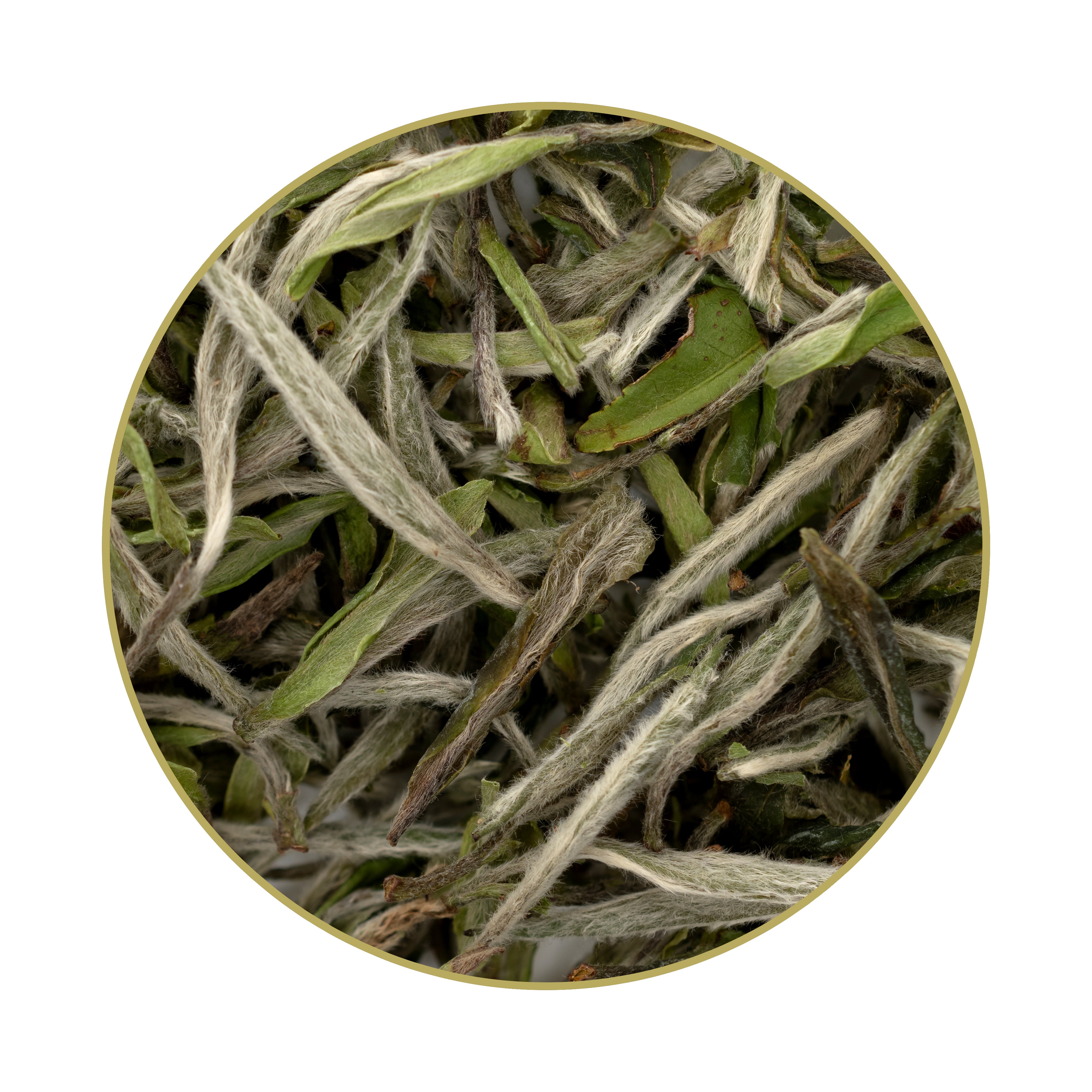 Bai Mu Dan