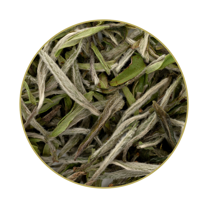 Bai Mu Dan