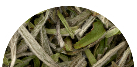 /collections/white-tea